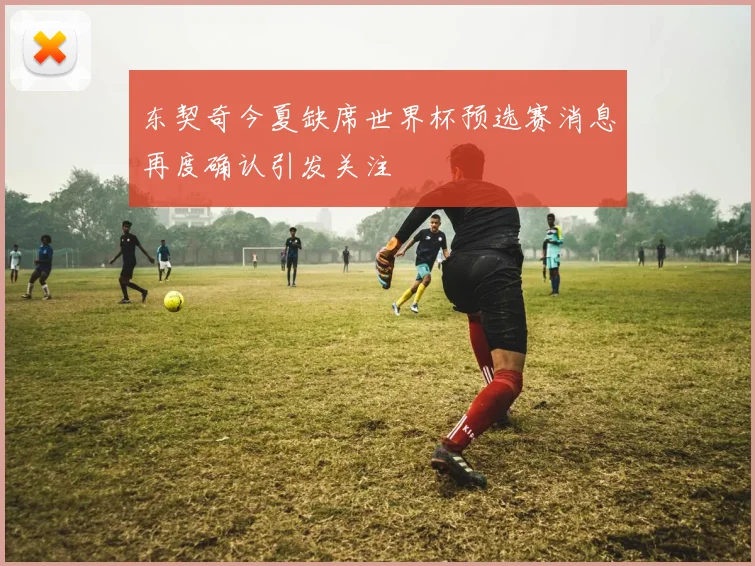 东契奇今夏缺席世界杯预选赛消息再度确认引发关注
