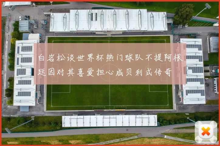 白岩松谈世界杯热门球队不提阿根廷因对其喜爱担心成贝利式传奇