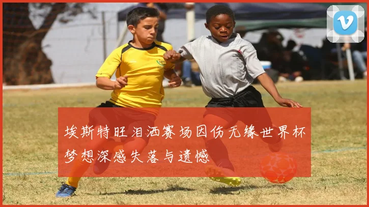 埃斯特旺泪洒赛场因伤无缘世界杯梦想深感失落与遗憾