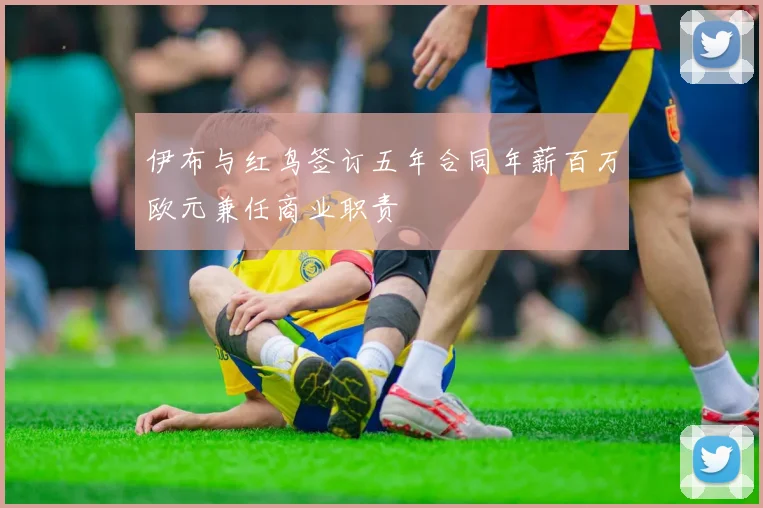 伊布与红鸟签订五年合同年薪百万欧元兼任商业职责